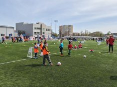 img (4)